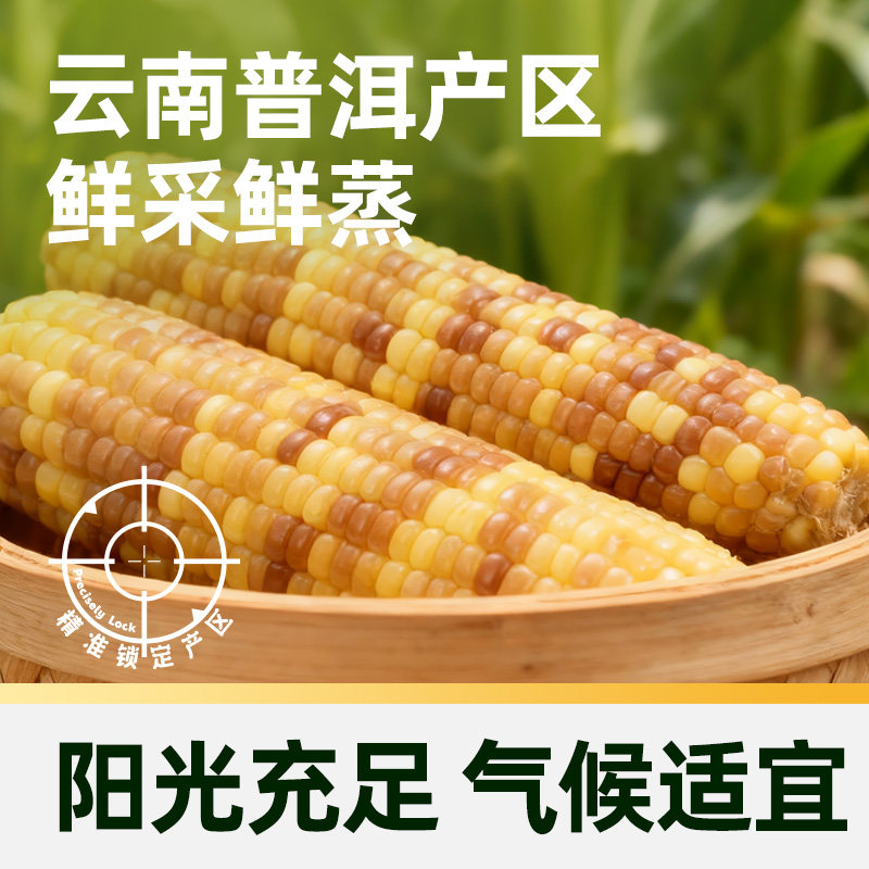 【臻选】喵满分爆卖云南普洱玉米花糯白糯新鲜现摘巴掌玉米