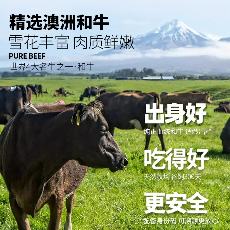 阿彭澳洲和牛牛肉饼谷饲原切纯牛肉儿童早餐汉堡肉饼进口零添加,淘宝优惠券,粉丝福利购,淘宝优惠卷