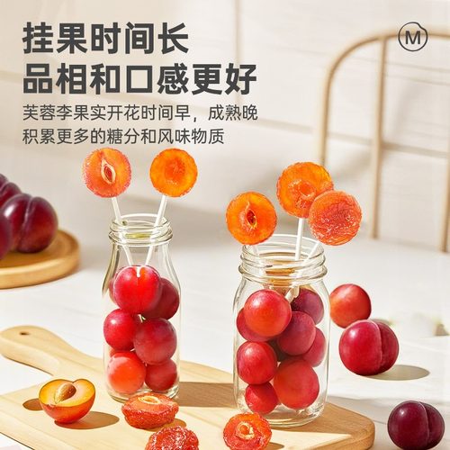 每果时光九制雪花半梅罐话梅干半边李梅子酸梅条果脯蜜饯孕妇零食 - 图0