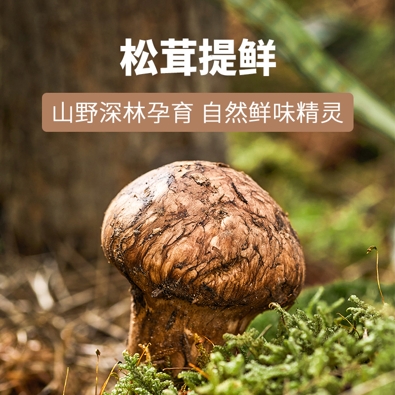 松鲜鲜松茸鲜调味料105g替代鸡精味精盐炒菜家用无添加 普通版 - 图1