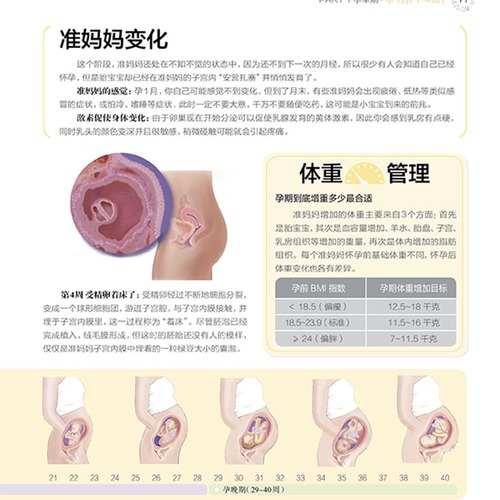 海蒂怀孕大百科+协和专家孕产大百科2册套新华书店书籍