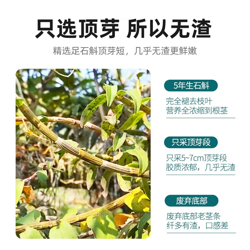  天猫超市石斛/枫斗