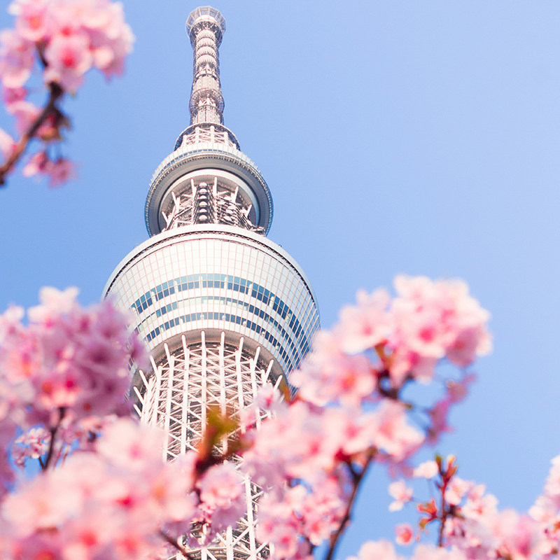 日本·单次旅游签证·上海送签·【无套路.拒一赔六】中侨简化加急服务日本单次签证个人旅游上海北京包邮,淘宝优惠券,粉丝福利购,淘宝优惠卷