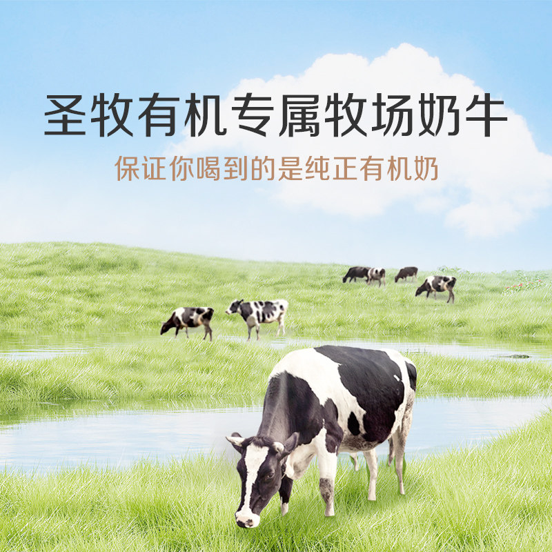 圣牧有机纯牛奶 100%生牛乳全脂纯牛奶营养早餐奶 礼盒整箱装