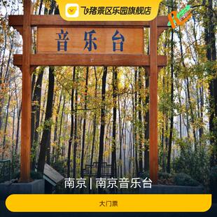 [南京音乐台-大门票]