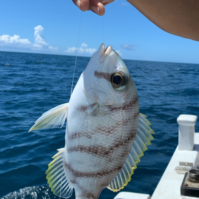 海南万宁三亚湾赶海出海海钓纯玩游钓大鱼专业钓鱼艇快艇游艇包船 - 图3