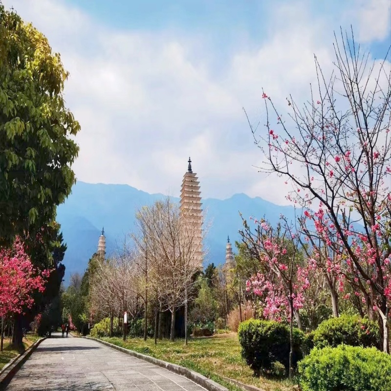 [崇圣寺三塔文化旅游区-大门票（码上游）]崇圣寺三塔门票+往返直通车 - 图0