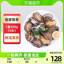 (Shunfeng) Fishery spread live abalone Seafood Seafood 1 Box 500g (6 heads) Saucepan Fujian Produce
