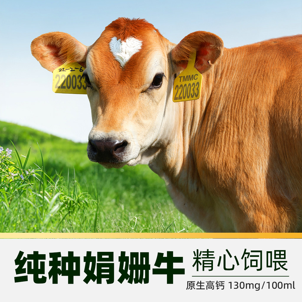 伊利金典娟姗有机纯牛奶200ml*10盒4.0g优质乳蛋白全程有机可追溯