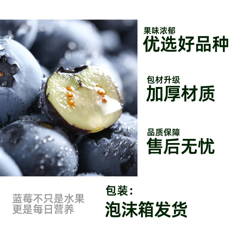 云南蓝莓高山当季大果头茬新鲜水果孕妇辅食