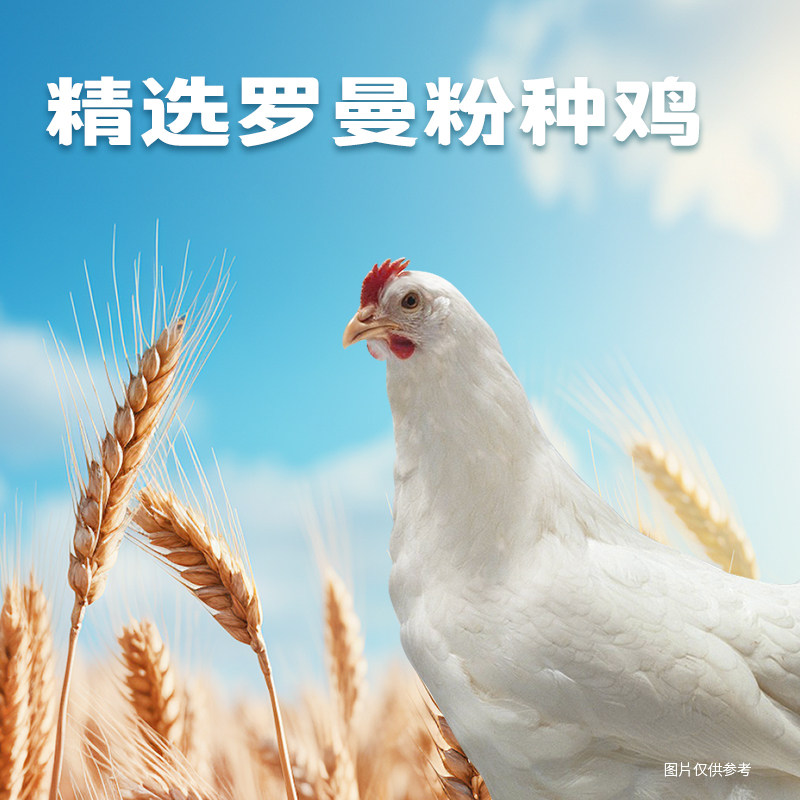 图 3