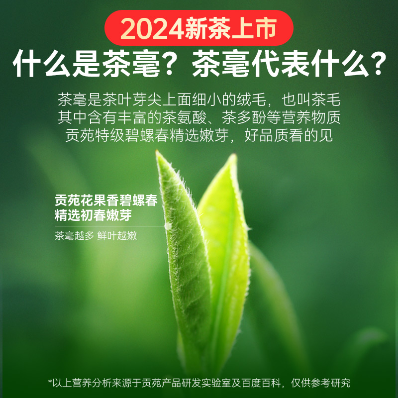 2024新茶贡苑绿茶明前特级碧螺春茶苏州春茶云雾早春嫩芽茶叶250g - 图1