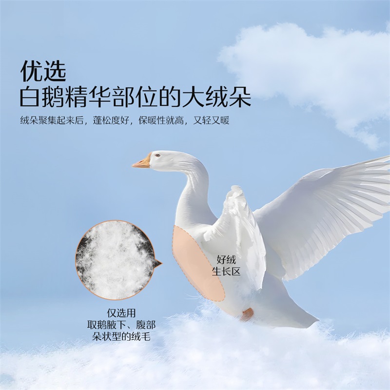 水星家纺抗菌95白鹅绒冬被单双人加厚被芯羽绒被子白绒吹雪床品 - 图2
