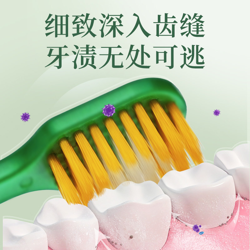 朗利洁小宽头细软毛成人家庭装牙刷 天猫超市牙刷/口腔清洁工具