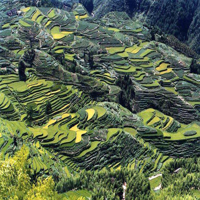 [南尖岩-大门票]浙江 丽水 南尖岩风景区门票 - 图0