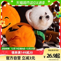 Pet pooch Halloween Pumpkin Light Changing Body Warm And Velvety Photo Divine Instrumental Mesh Red Bibear Small Dogs