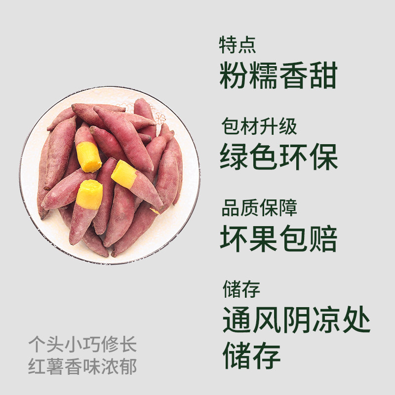 顺丰上门薯小萌天目山小香薯新鲜现挖皮薄粉糯香甜精选小果蒸煮用