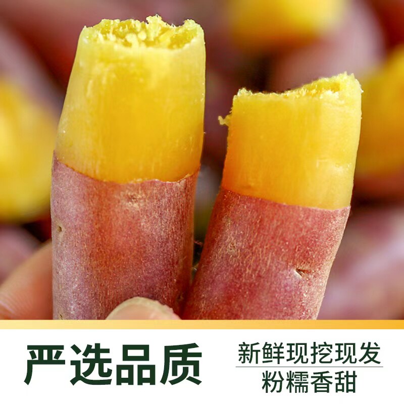 顺丰上门薯小萌天目山小香薯新鲜现挖皮薄粉糯香甜精选小果蒸煮用