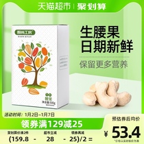 Original Champ House Original Taste Born Cashew Nuts Nuts 500g Pregnant Women Snacks Daily Nuts Vietnam Extra-large Cashew Year Goods