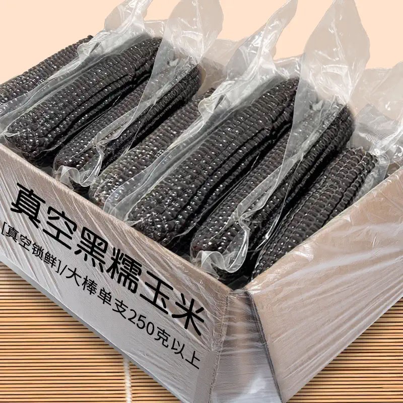 25年正宗黑土地黑糯玉米10支软糯香甜粘苞米整箱真空包装优质粗粮 - 图0