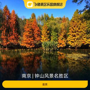 [钟山风景名胜区-明孝陵+美龄宫+灵谷寺+音乐台]