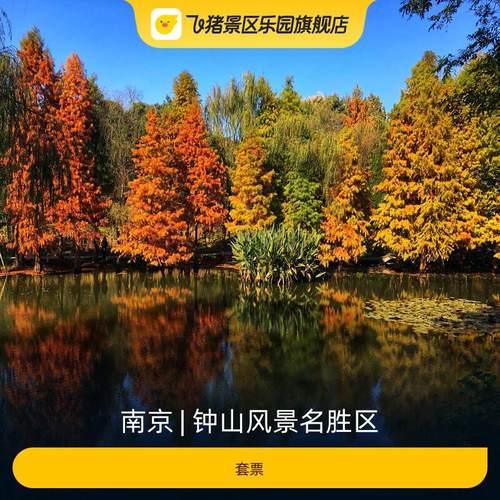 钟山风景区套票
