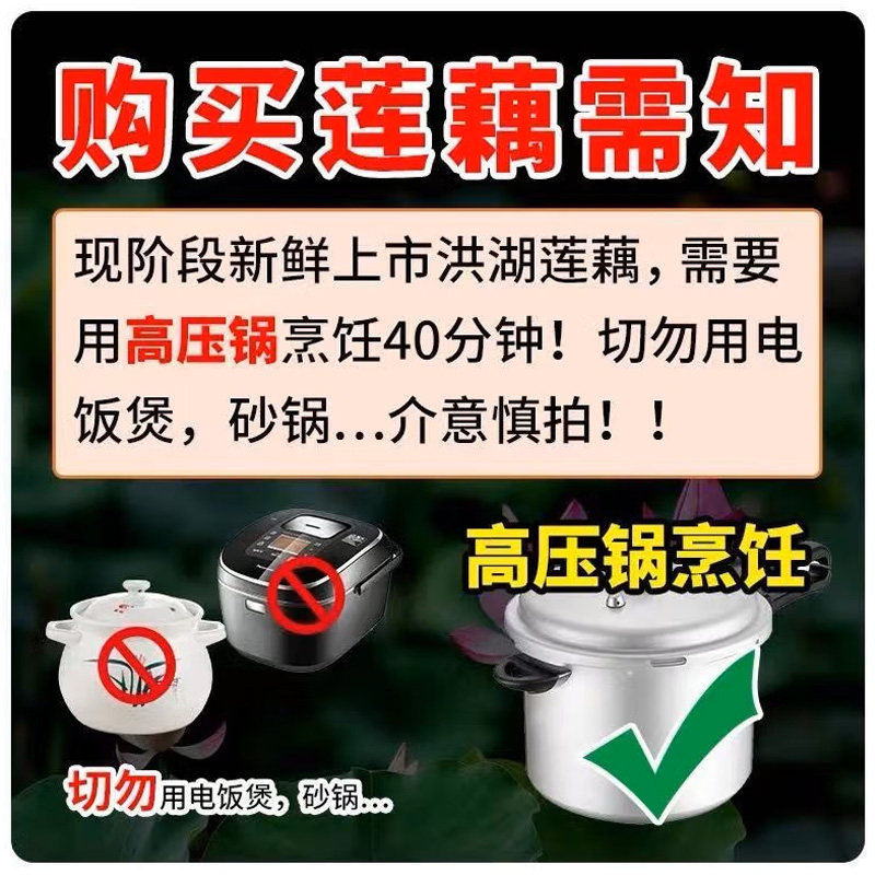 正宗洪湖粉藕莲藕中段煲汤藕新鲜糯米藕炖汤九孔藕湖北红莲藕,淘宝优惠券,粉丝福利购,淘宝优惠卷