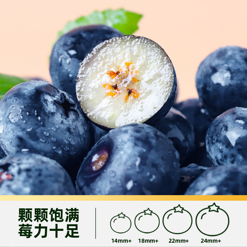 DRISCOLL'S怡颗莓云南蓝莓中大果应季新鲜水果孕妇低GI脆甜口感,淘宝优惠券,粉丝福利购,淘宝优惠卷