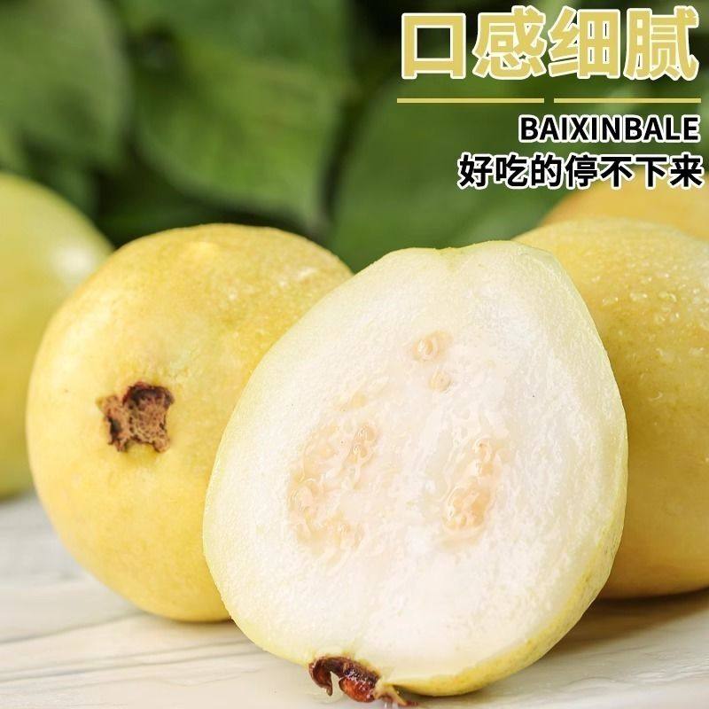 包邮软心奶油白心芭乐软番石榴新鲜冰淇淋低糖孕妇网红水果,淘宝优惠券,粉丝福利购,淘宝优惠卷