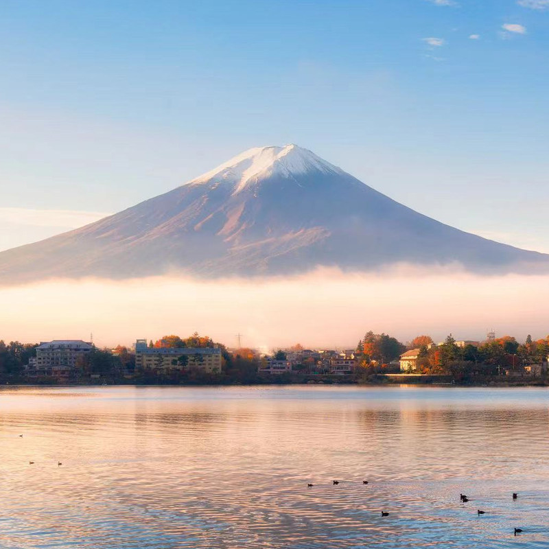 日本·探亲访友签证·青岛送签·可加急【拒签全退】探亲访友山东领区单次日本旅游签证个人旅游赴日探亲团聚