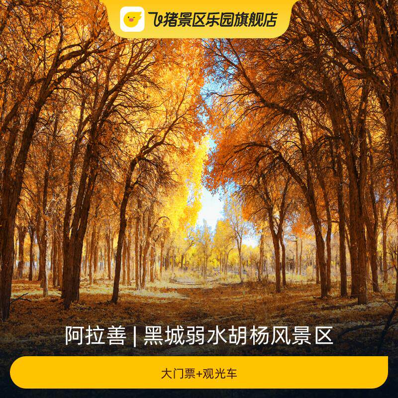 [黑城弱水胡杨风景区-大门票+观光车]
