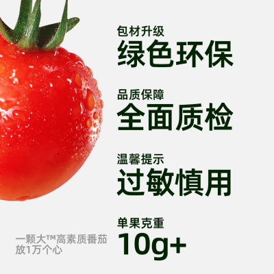 臻选一颗大小串樱桃番茄酸甜爆汁