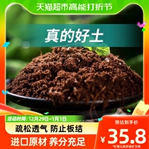 (one) Stanley Nutrition Soil raising flowers GM Special earth to grow soil Multi-meat Flowers Home