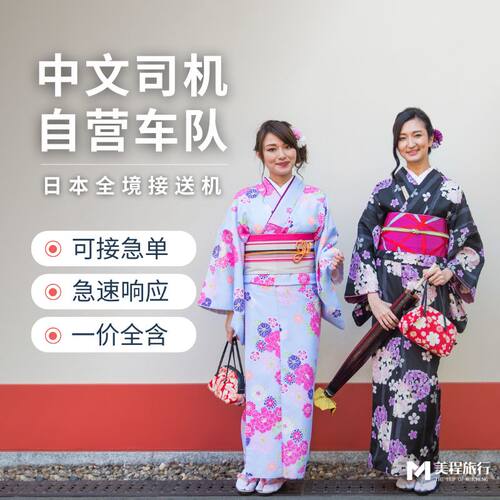 日本接送机旅游东京大阪北海道中文司机关西羽田成田机场接机商务 - 图2