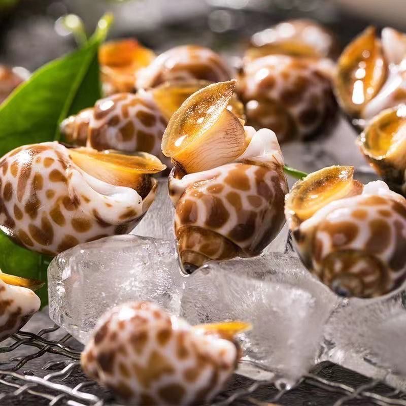 Frozen snails, fresh snails, fresh seafood, aquatic products, fresh frozen snails, shellfish, juice, small seafood wholesale