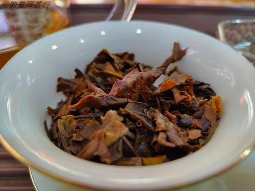 云南古树白茶2018年陈品 昆明干仓储存 357克 饼茶 老白茶 - 图2