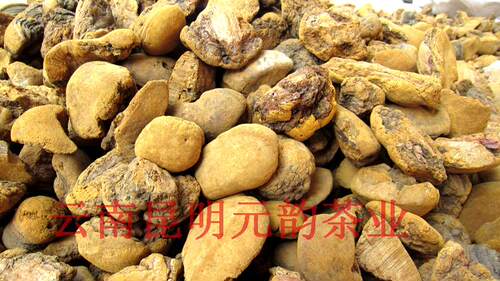 云南野生桑树桑黄 桑黄片桑黄粉 养生新趋势森林黄金特卖100元/斤 - 图1