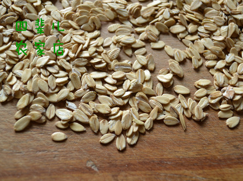 农家生燕麦片需煮纯麦片熬粥杂粮生麦片燕麦粥 500克四辈儿农家 - 图3