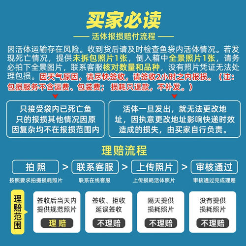 一眉道人虎皮鱼天使鱼热带鱼观赏鱼鱼缸群游小型鱼淡水鱼好养耐活 - 图3
