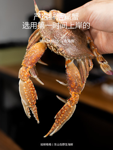 蟹腿肉 大号 200g 梭子蟹蟹肉 手工现剥新鲜蟹脚肉冷冻螃蟹肉蟹钳 - 图0
