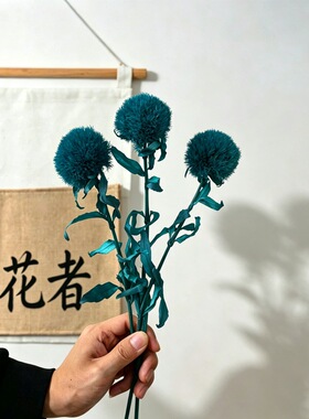 绿毛球吸色公主花永生干花束