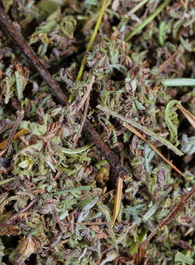 50g雪巴草康巴草堪巴草藏香熏香粉香薰粉家用家居礼佛熏香民族风