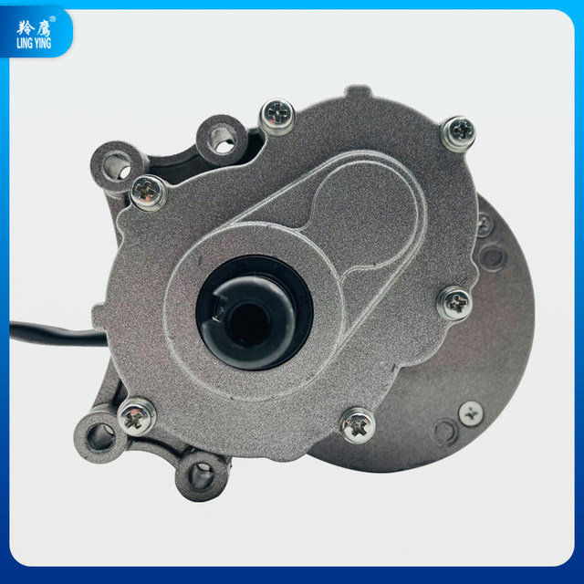 Lingying ແມ່ເຫຼັກຖາວອນ DC brushed wheelchair geared motor