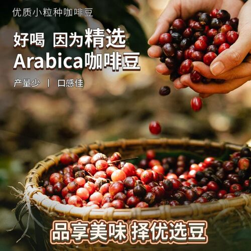 南国炭烧咖啡450g*2罐装三合一速溶咖啡防困提神咖啡熬夜海南特产 - 图2