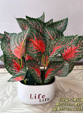 仿真植物墙绿植墙假花假草室内室外背景墙装饰花草绿萝隔断小盆栽