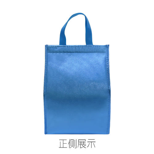 鸡头米芡实粽子汤圆保鲜袋防水铝箔珍珠棉加厚便当包冷藏手提袋 - 图0