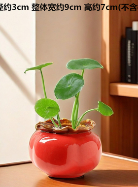 花瓶摆件客厅插花橘子花瓶轻奢高级感水培陶瓷花器家居摆件装饰品