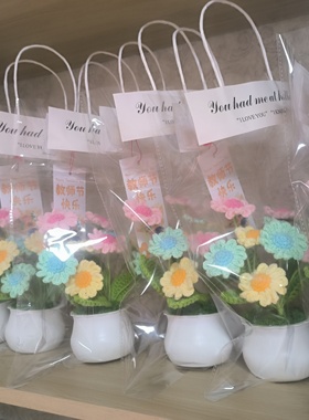手工编织小花盆小雏菊盆栽教师节礼物生日礼物伴手礼
