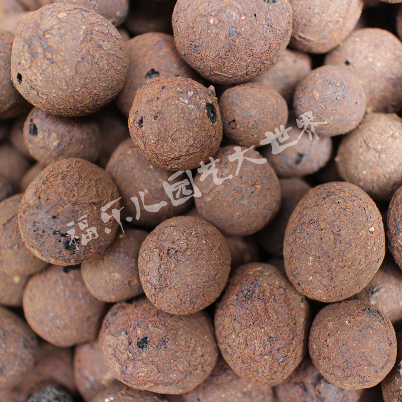 中号散装陶粒-植物花卉栽培基质无土栽培基质介质水培植物基质,淘宝优惠券,粉丝福利购,淘宝优惠卷