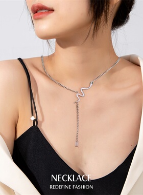 生肖蛇女款项链2026新款高级感轻奢小众锁骨链颈链配饰秋冬首饰品